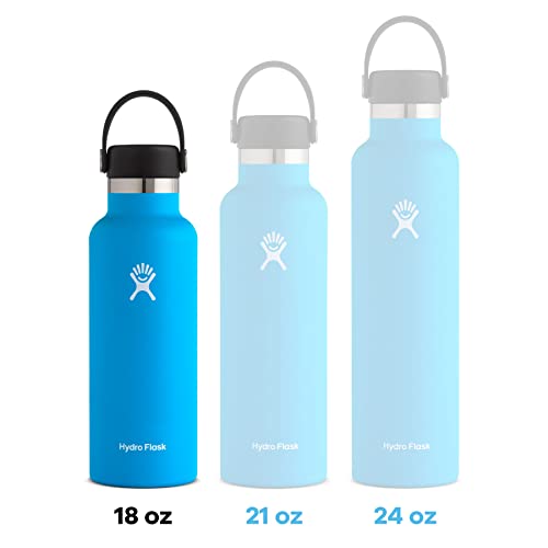 Hydro Flask Standard Mouth Bottle with Flex Cap, Black