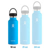 Hydro Flask Standard Mouth Bottle with Flex Cap, Carnation