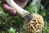Opinel Stainless Steel Folding Mushroom Hunting Knife with Beechwood Handle