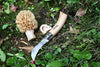 Opinel Stainless Steel Folding Mushroom Hunting Knife with Beechwood Handle